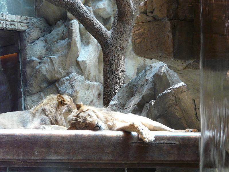 MGM P1020842.jpg